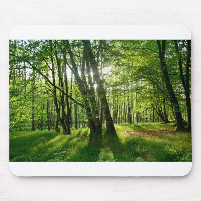 Der Wald im Frühling Mouse Mat (Front)