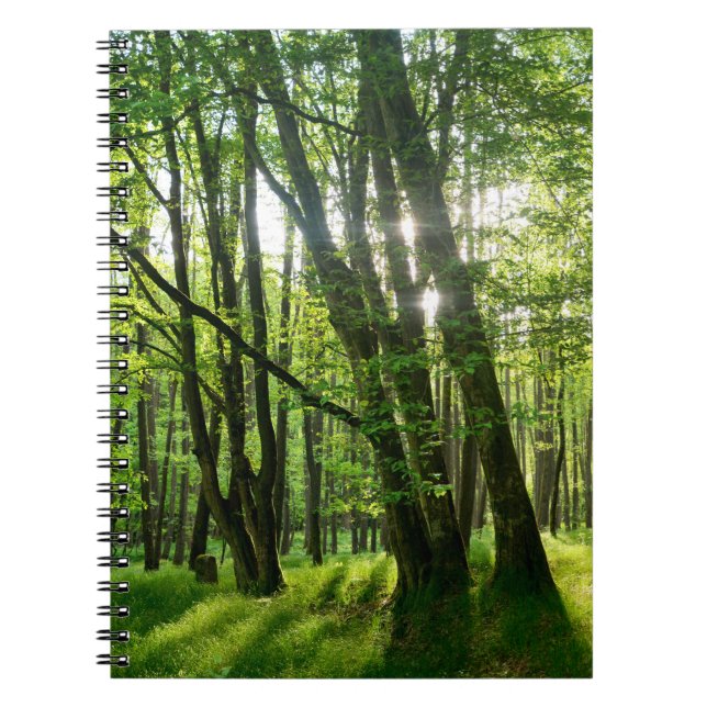 Der Wald im Frühling Notebook (Front)