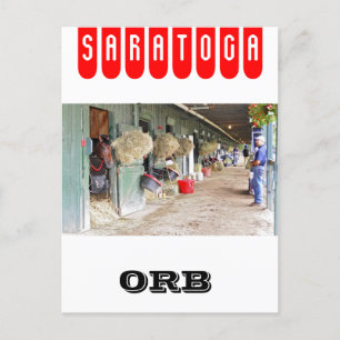 Derby winner "Orb" as a 2 yr. old Postcard