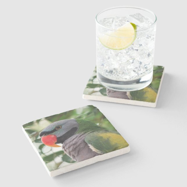 Derbyan Parakeet Stone Coaster (Side)