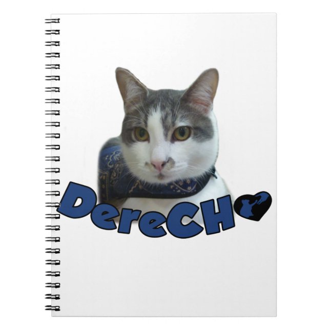 Derecho Products Notebook (Front)