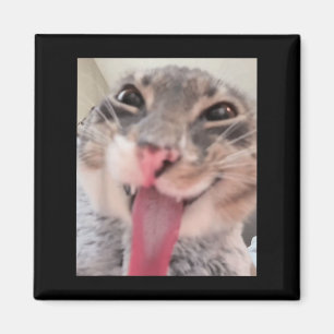 Derpy Cat Tongue Out Meme Funny Weirdcore Gifts Me Magnet