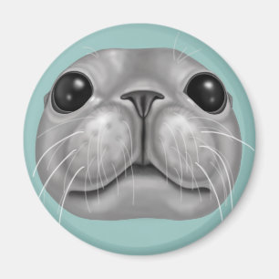 Derpy seal magnet