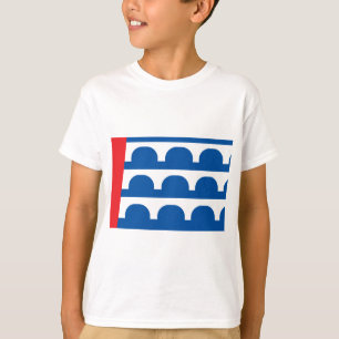 Des Moines city flag T-Shirt