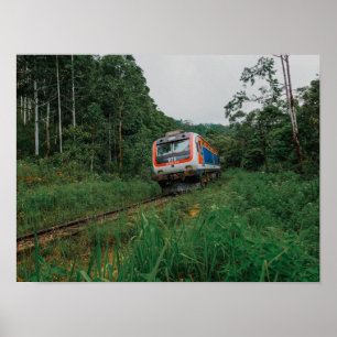 Desal Train Sri Lanka Poster
