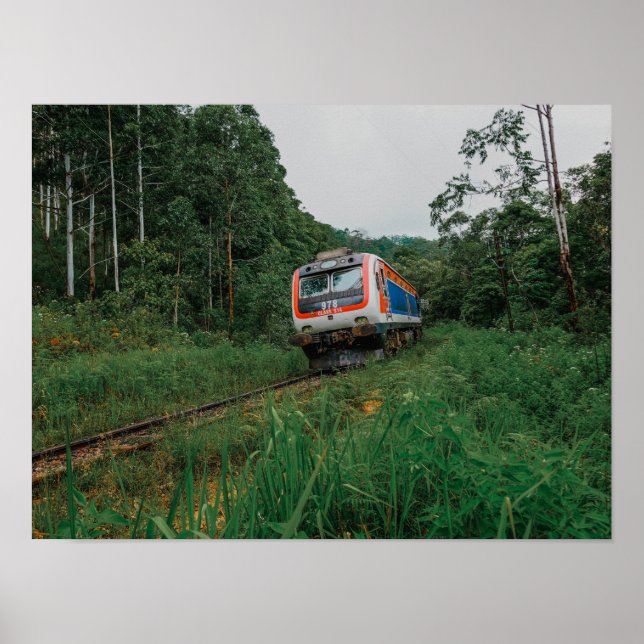 Desal Train Sri Lanka Poster (Front)