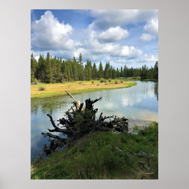 Deschutes River, OR Poster (Front)