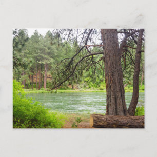 Deschutes River View Postcard