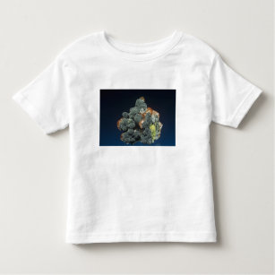 Descloizite on Calcite Toddler T-Shirt