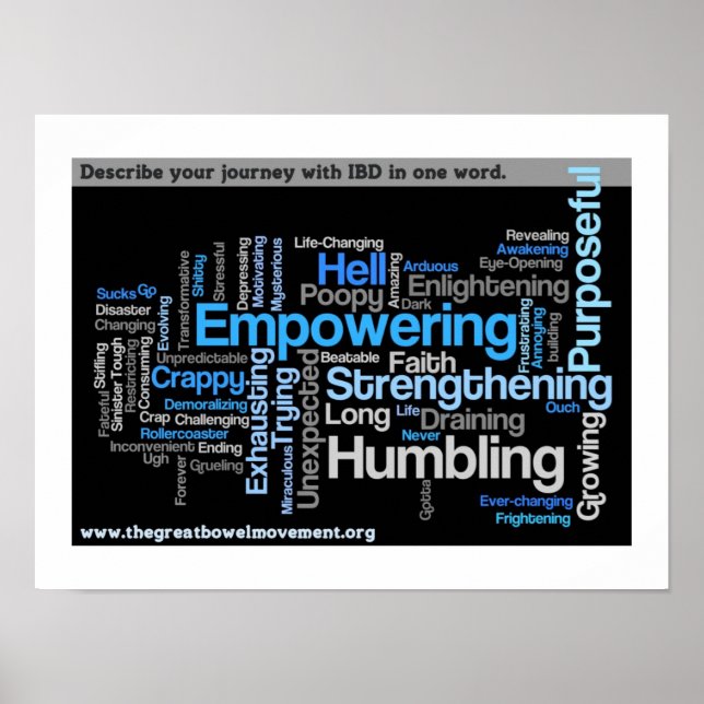 "Describe Your IBD" Word Cloud Poster (Front)