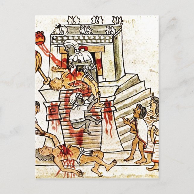 Description Aztec ritual human sacrifice portrayed Postcard (Front)