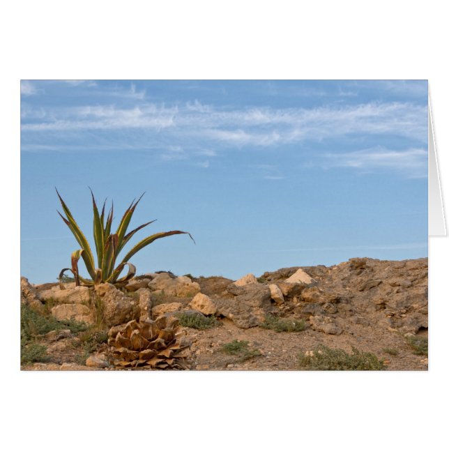 desert (Front Horizontal)