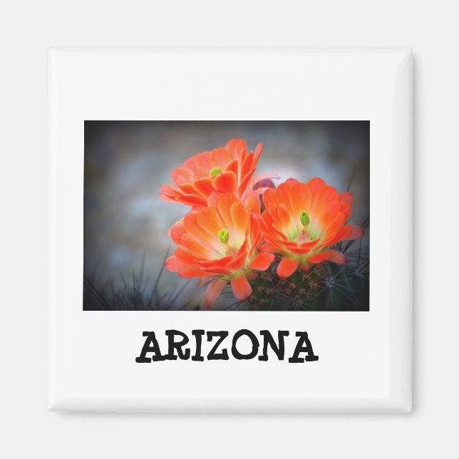 Desert ablaze Arizona Magnet (Front)