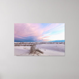 Desert at Sunset Canvas Print