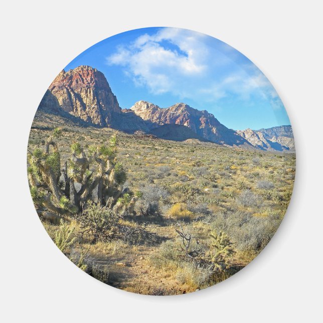 Desert Beauty Magnet (Front)