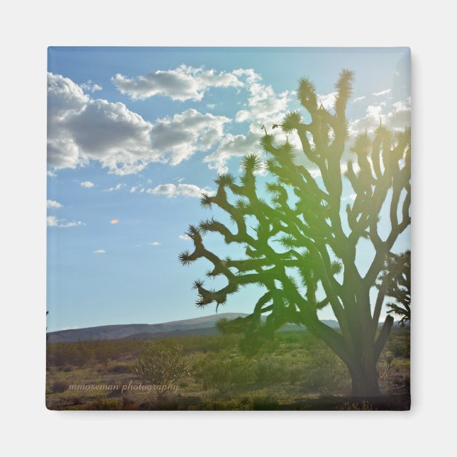 Desert Beauty Magnet (Front)