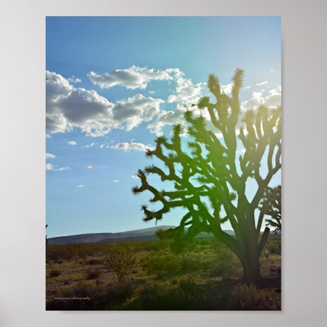 Desert Beauty Poster (Front)