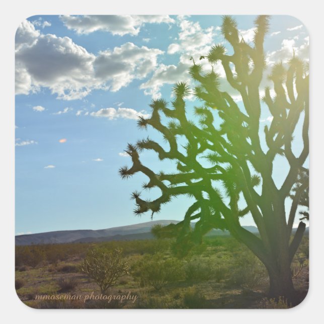 Desert Beauty Square Sticker (Front)