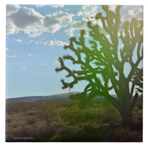 Desert Beauty Tile