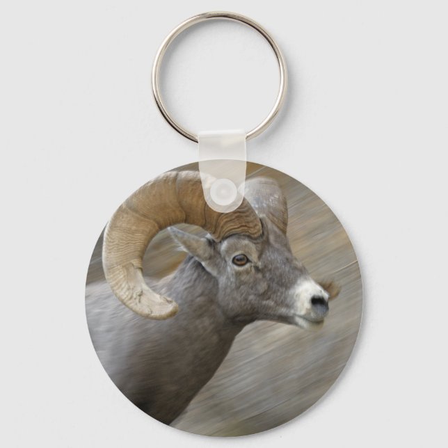 Desert Bighorn Ram Key Ring (Front)