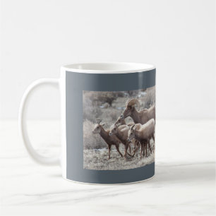 Desert Bighorn Sheep Photo Mug