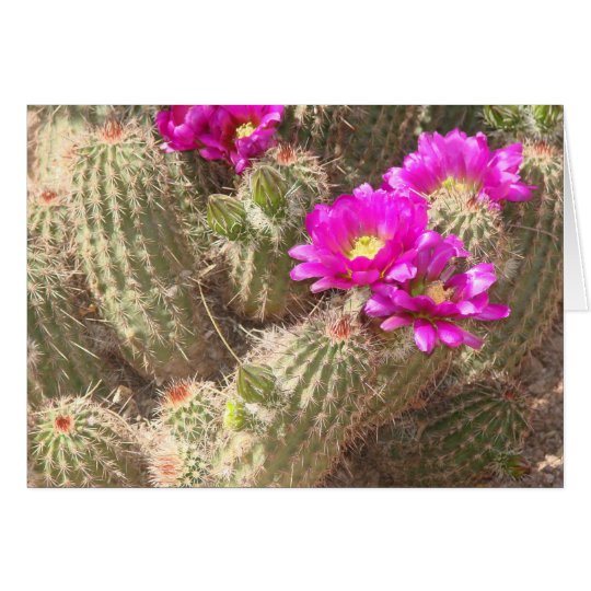 Desert bloom card