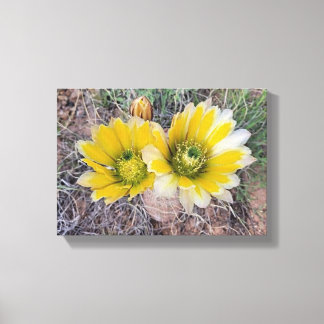 Desert Blooms Canvas Print
