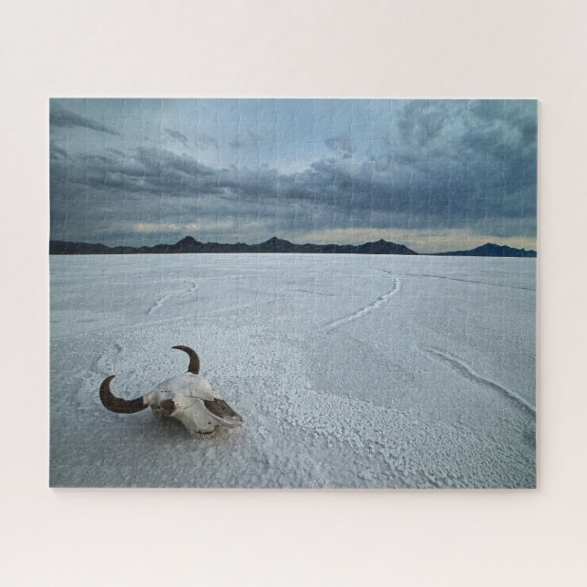 Desert | Bonneville Salt Flats Utah Jigsaw Puzzle (Horizontal)