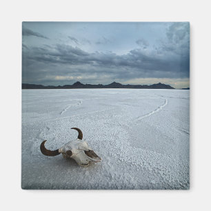 Desert   Bonneville Salt Flats Utah Magnet