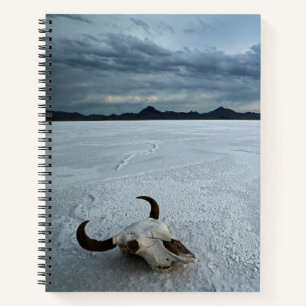 Desert   Bonneville Salt Flats Utah Notebook