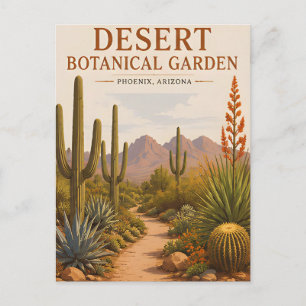 Desert Botanical Garden Arizona Cactus Landscape Postcard
