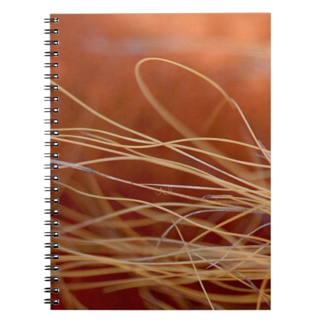 Desert Breeze Notebook (Front)