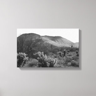 Desert Cacti Jumping Cholla B&W Photo Art Prints