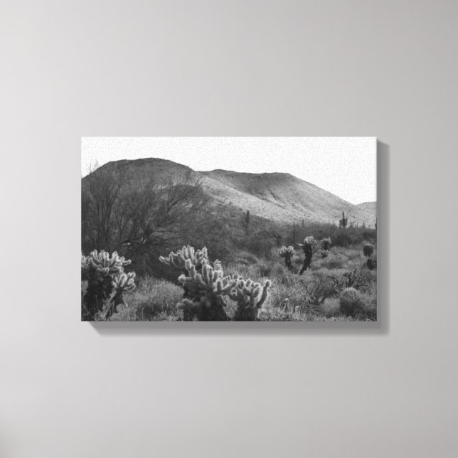 Desert Cacti Jumping Cholla B&W Photo Art Prints (Front)