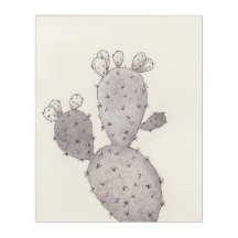 Desert Cactus