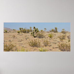 Desert Cactus and Plants Poster