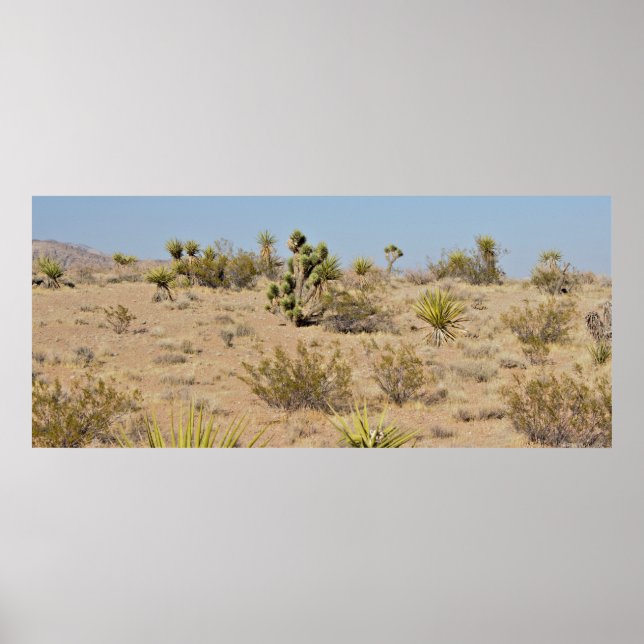 Desert Cactus and Plants Poster (Front)