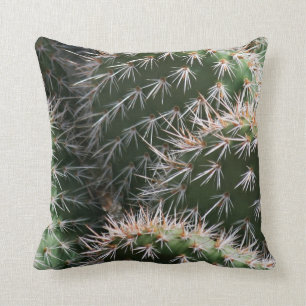Desert Cactus and Thorns Cushion