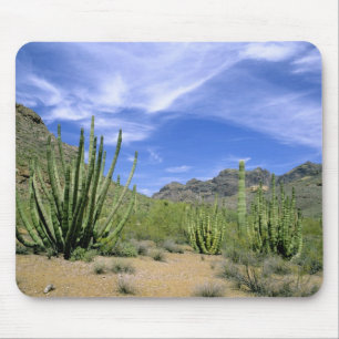 Desert cactus at Organ Pipe National Monument, Mouse Mat