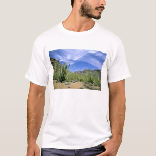 Desert cactus at Organ Pipe National Monument, T-Shirt