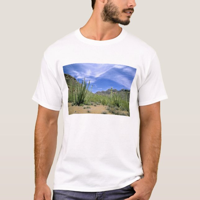 Desert cactus at Organ Pipe National Monument, T-Shirt (Front)