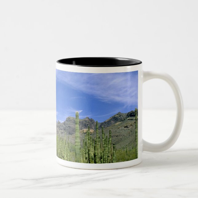 Desert cactus at Organ Pipe National Monument, Two-Tone Coffee Mug (Right)