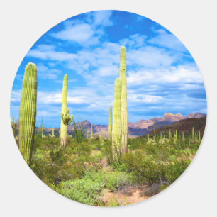 Desert cactus landscape, Arizona Classic Round Sticker