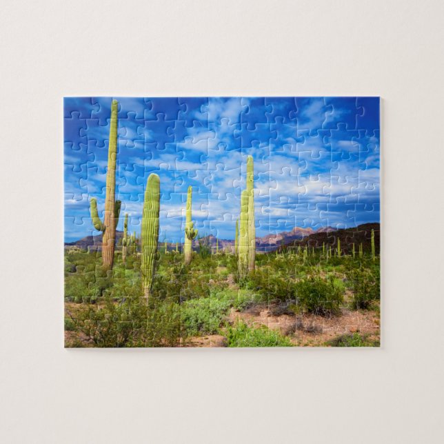 Desert cactus landscape, Arizona Jigsaw Puzzle (Horizontal)