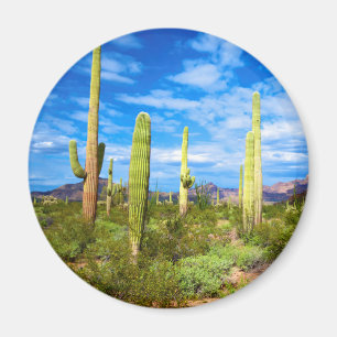 Desert cactus landscape, Arizona Magnet