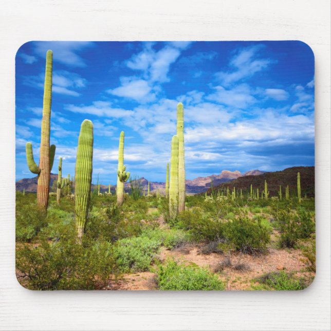 Desert cactus landscape, Arizona Mouse Mat (Front)