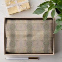 Desert Cactus Plants On Wood Grain Photo Image