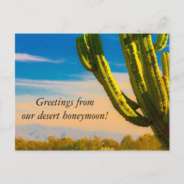 Desert Cactus Saguaro Honeymoon Thank you Postcard (Front)