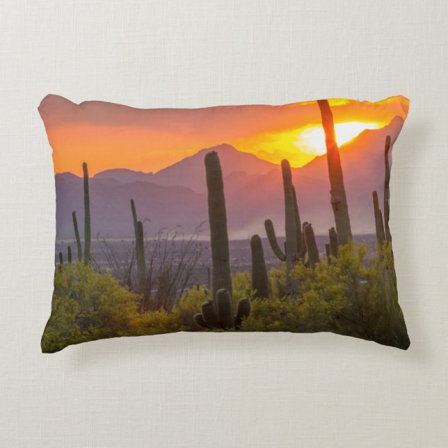 Desert cactus sunset, Arizona Decorative Cushion (Front)