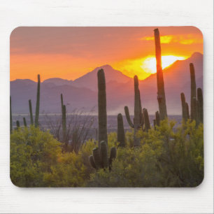 Desert cactus sunset, Arizona Mouse Mat